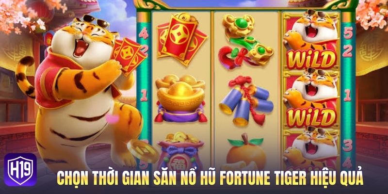 Chọn thời gian săn nổ hũ Fortune Tiger hiệu quả