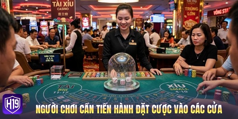 Người chơi cần tiến hành đặt cược vào các cửa