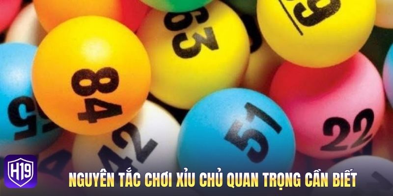 Nguyên tắc chơi xỉu chủ quan trọng cần biết