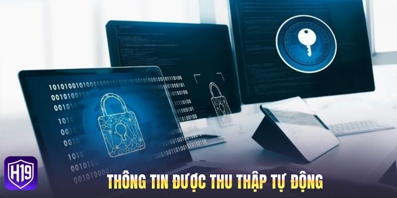 Thông tin được thu thập tự động